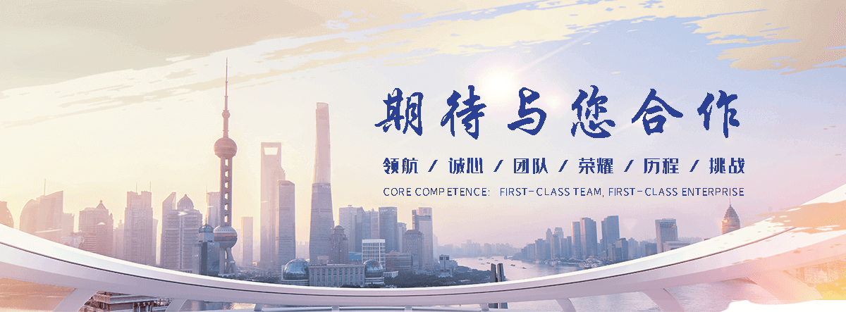 金堂靠谱铲车出售哪家车况好